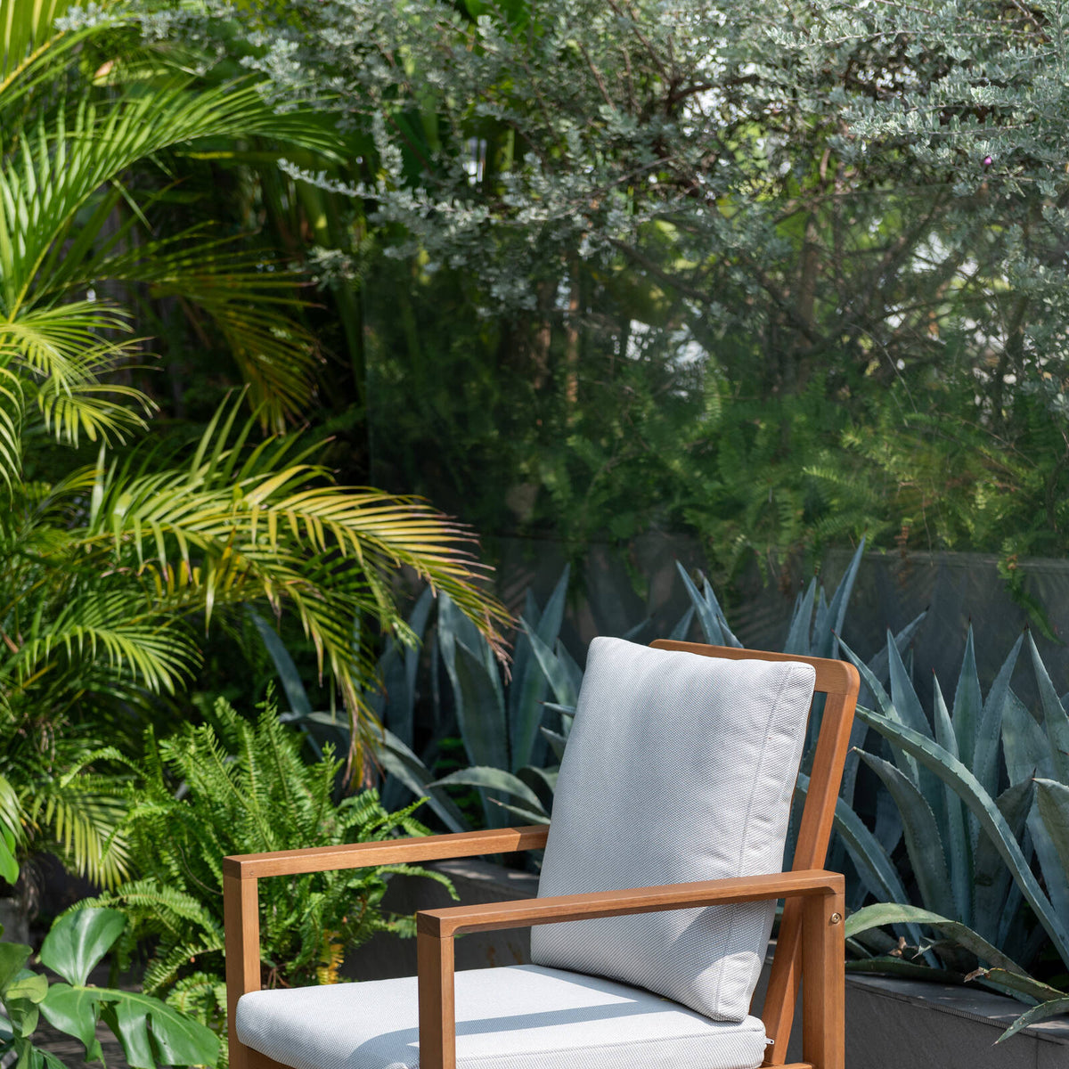 Mimosa Santo Timber Dining Chair with Cushion - Image 3 of 3