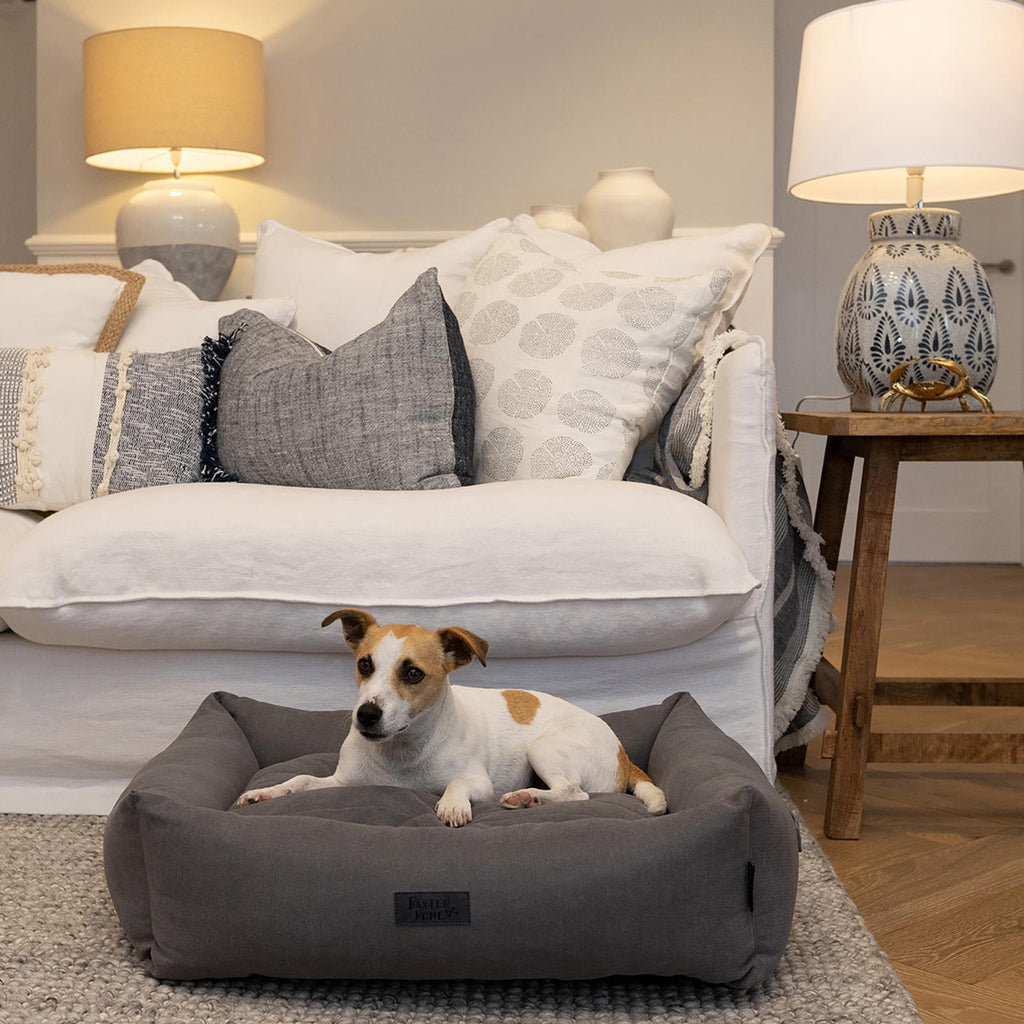 Baxter Bone Grey Small Sofa Style Fabric Bolster Bed - Image 7 of 9