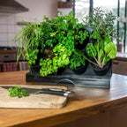 Holman Benchtop Greenwall Garden - Image 2 of 6