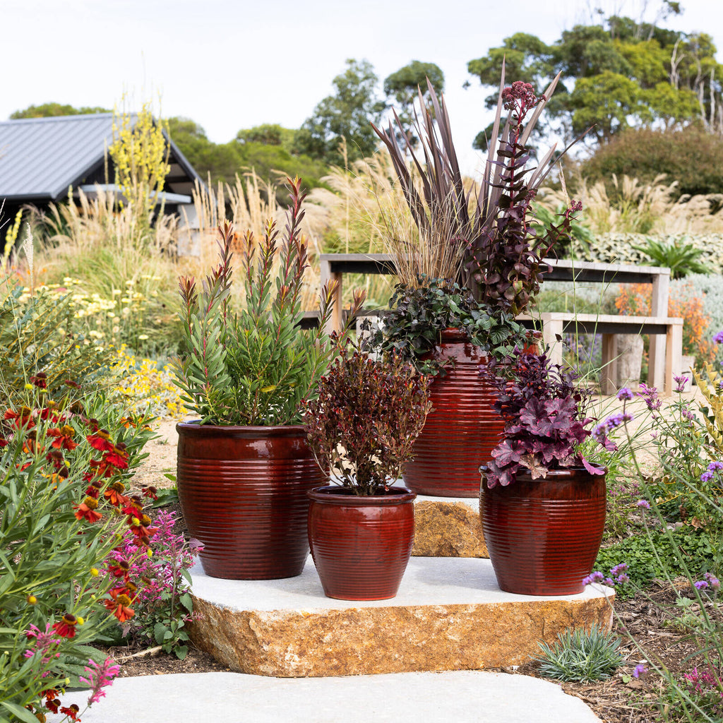 Northcote Pottery Wine Holland Planter - Image 3 of 5