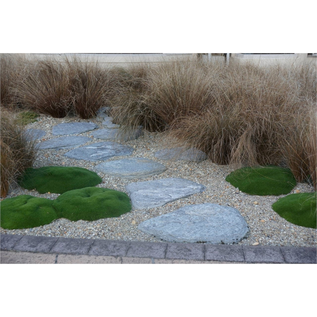WestStone 30 - 50cm Natural Schist Stepping Stone - Image 2 of 7