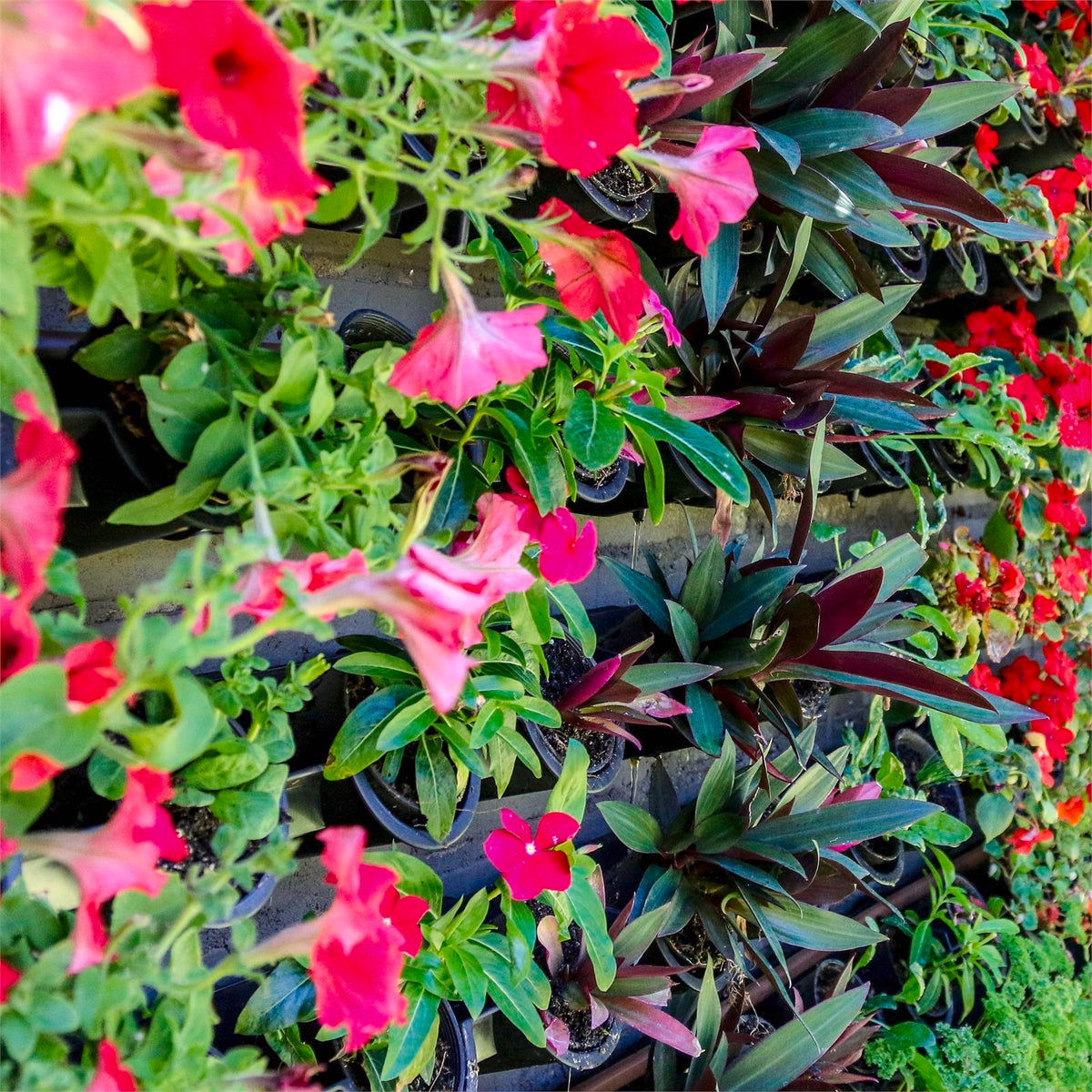 Holman Pixel Pot GreenWall Vertical Garden - Image 3 of 6