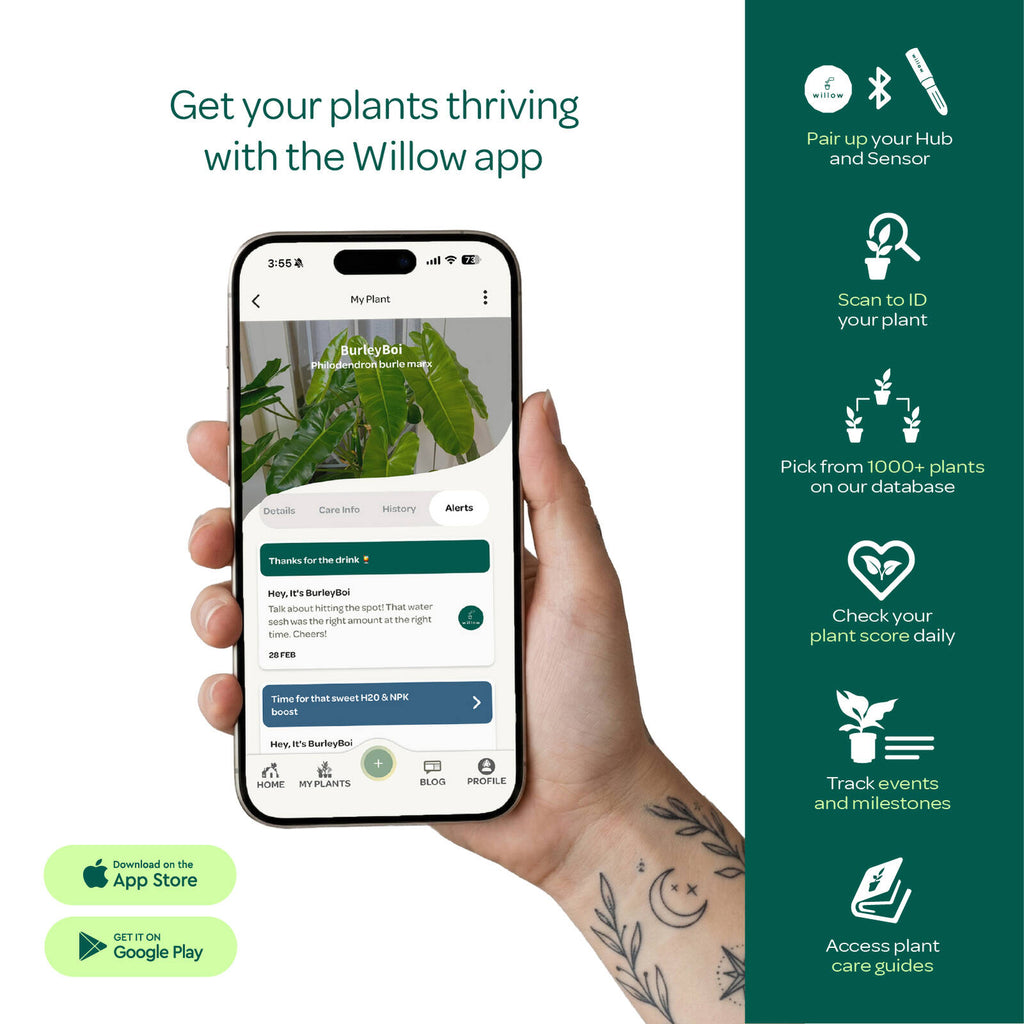 Willow Smart Indoor Plant Sensor Starter Pack Charcoal - Image 6 of 7