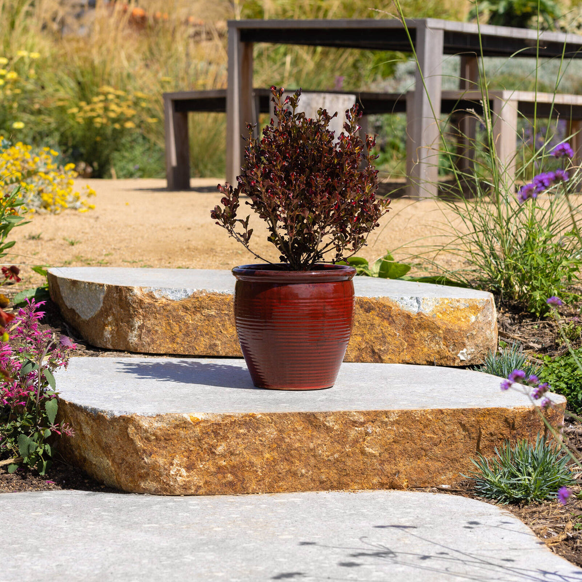 Northcote Pottery Wine Holland Planter - Image 4 of 5