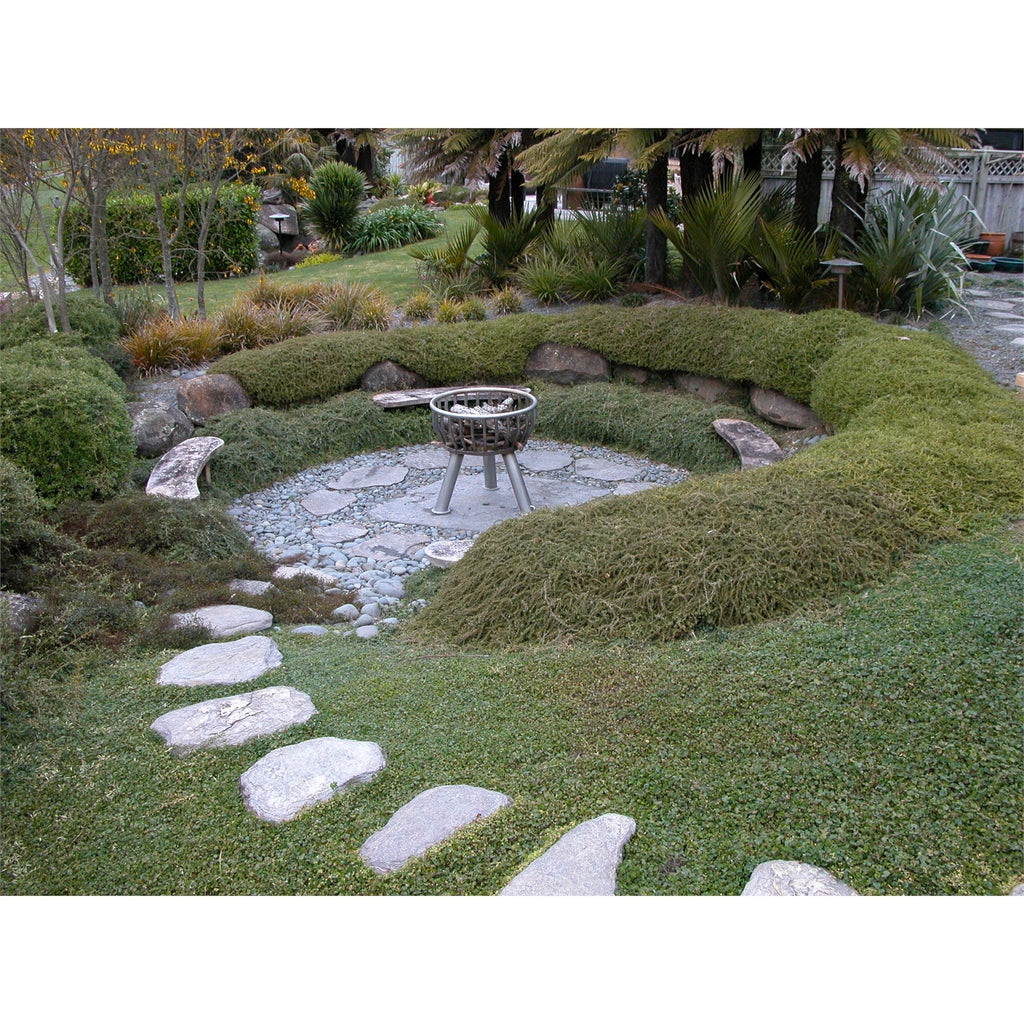 WestStone 30 - 50cm Natural Schist Stepping Stone - Image 5 of 7