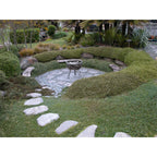 WestStone 30 - 50cm Natural Schist Stepping Stone - Image 5 of 7
