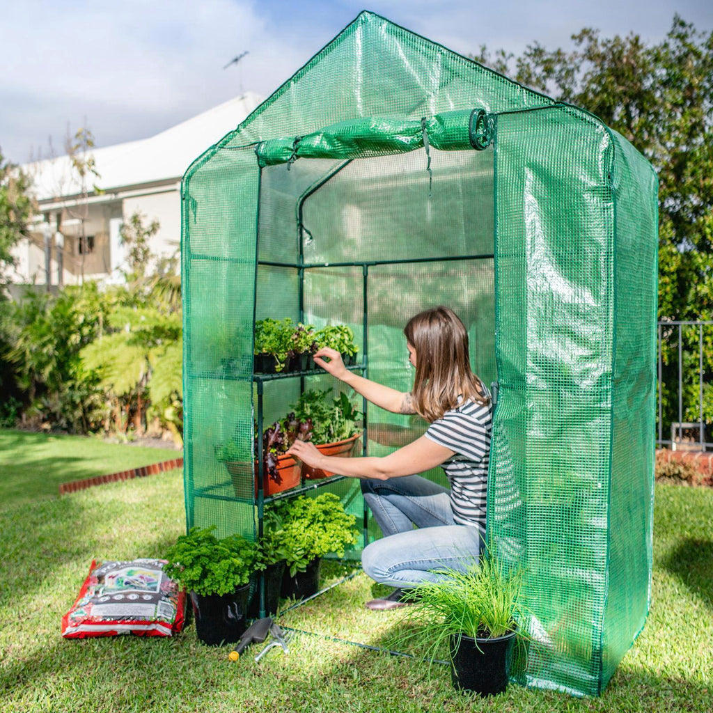 Holman Walk In Greenhouse With Misting Kit - Image 2 of 6