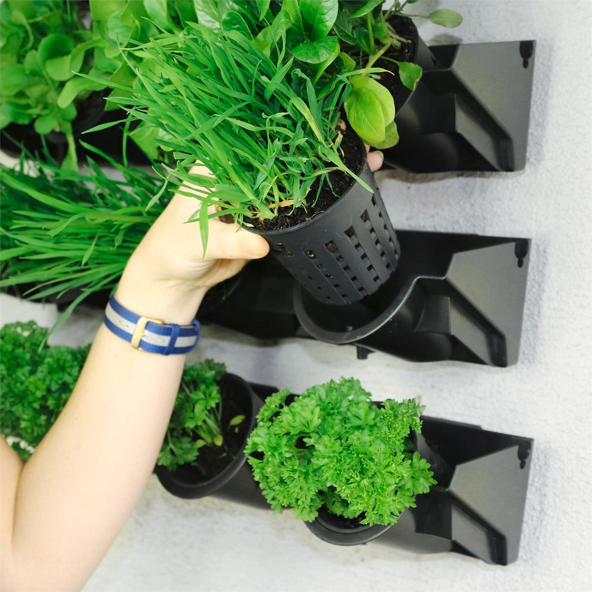 Holman Pixel Pot GreenWall Vertical Garden - Image 2 of 6