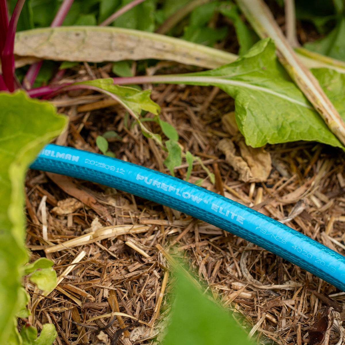 Holman 12mm × 20m PUREFLOW® ELITE Drinking Water Safe Hose - Image 7 of 8