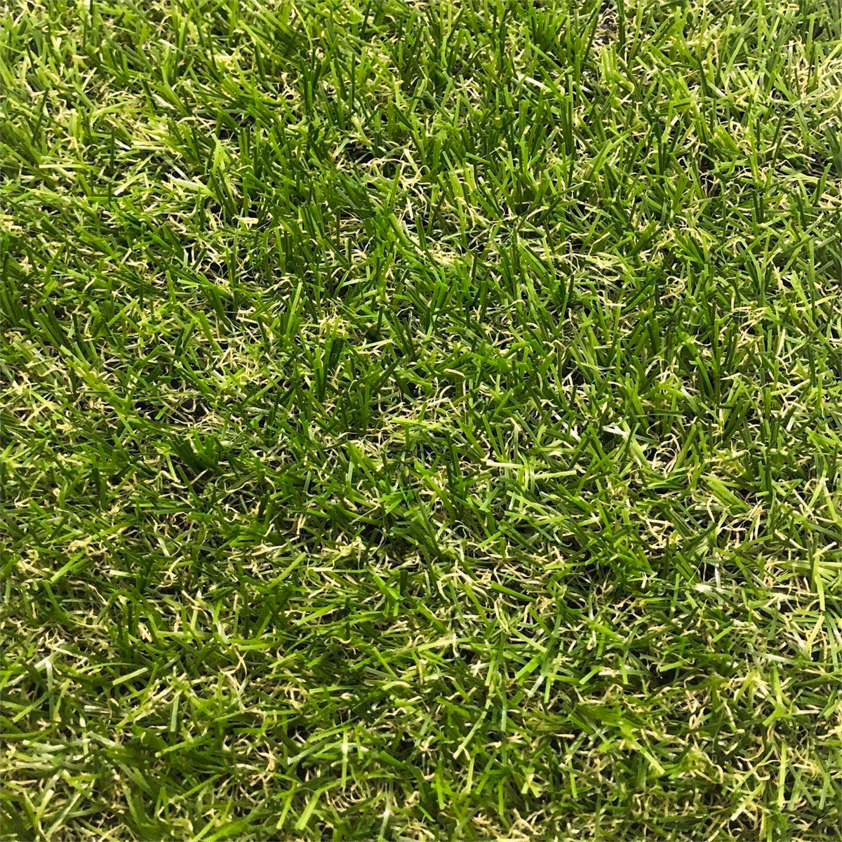 1 x 3m x 18mm Synthetic Grass Turf Mat - Image 1 of 1