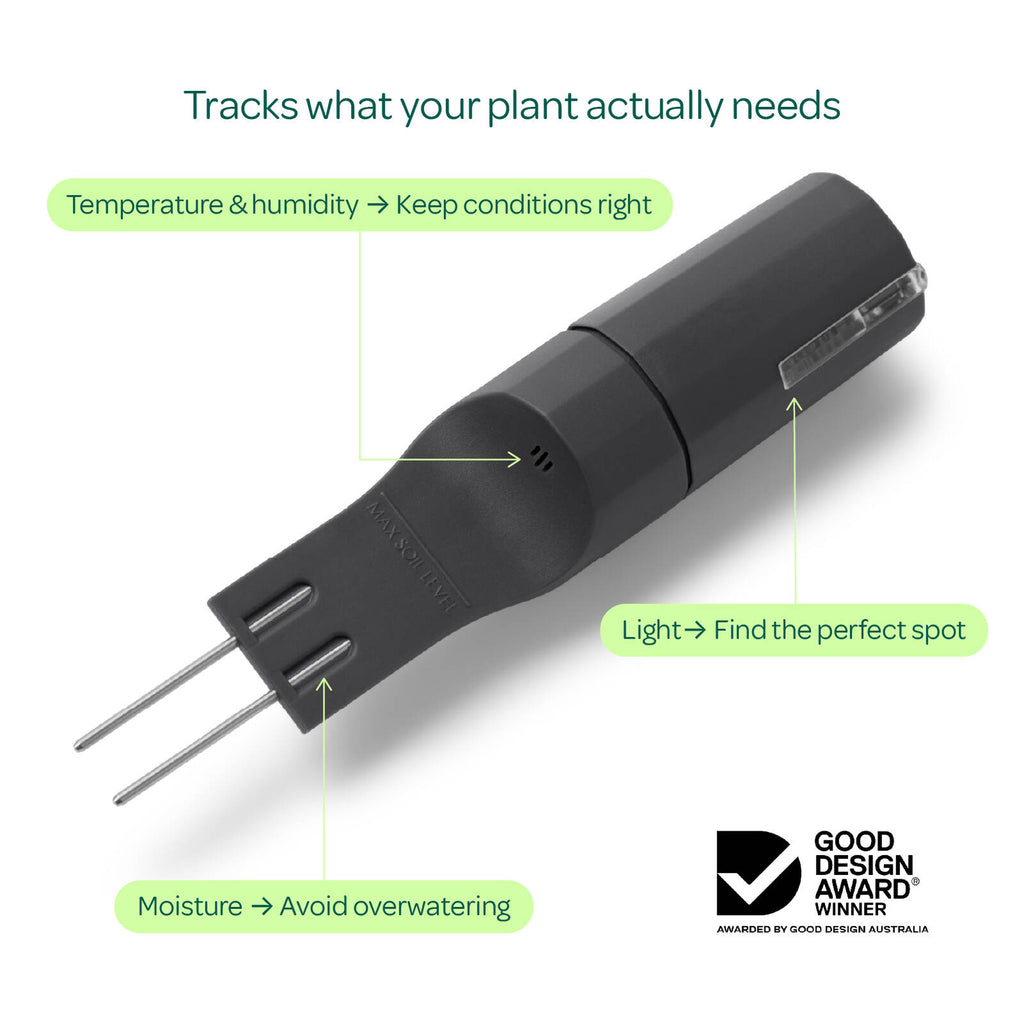 Willow Smart Indoor Plant Sensor Starter Pack Charcoal - Image 3 of 7