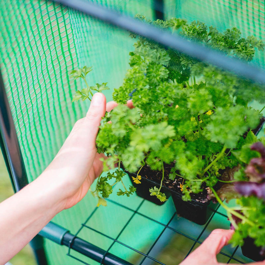 Holman Walk In Greenhouse With Misting Kit - Image 3 of 6