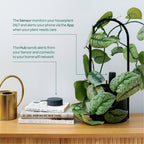 Willow Smart Indoor Plant Sensor Starter Pack Charcoal - Image 5 of 7
