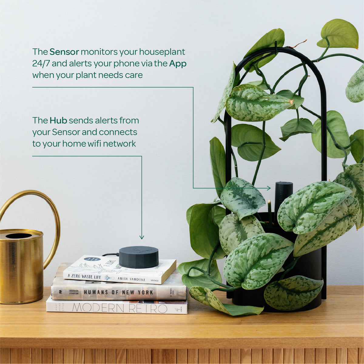 Willow Smart Indoor Plant Sensor Starter Pack Charcoal - Image 5 of 7
