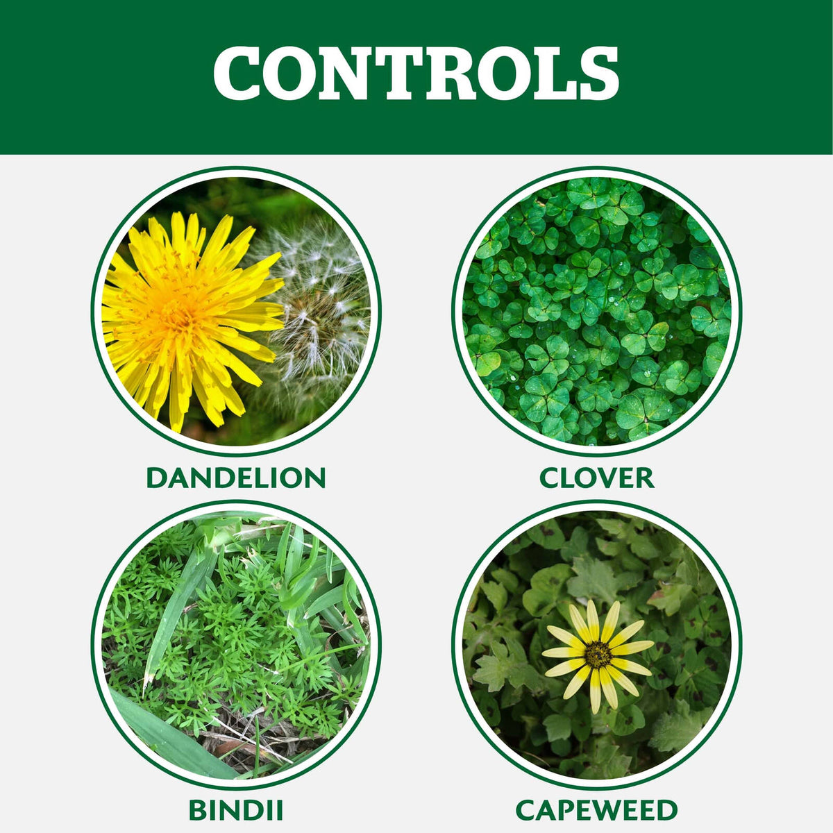 Yates Weed 'N' Feed Click &amp; Grow Starter Kit - Image 7 of 8
