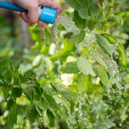 Holman 12mm × 20m PUREFLOW® ELITE Drinking Water Safe Hose - Image 3 of 8