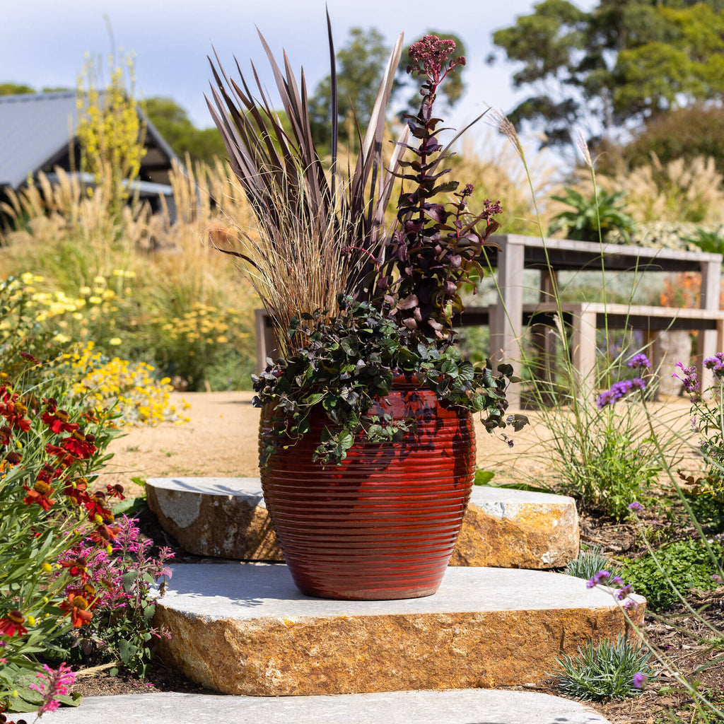 Northcote Pottery Wine Holland Planter - Image 2 of 5
