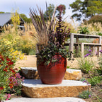 Northcote Pottery Wine Holland Planter - Image 2 of 5