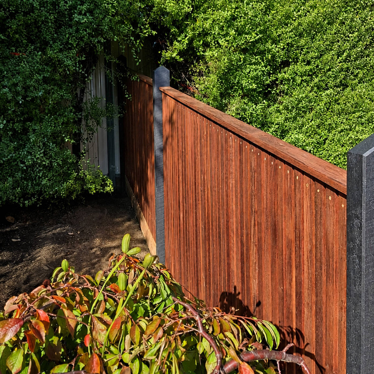 SpecRite 42 x 19mm 2.7m Merbau Pre-Oiled Solid Screening - Image 3 of 4