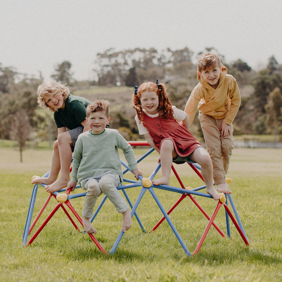 Swing Slide Climb Dome Climber - Image 4 of 5